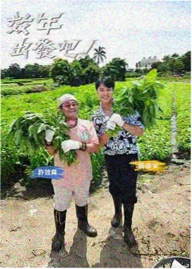 亲子互动综艺